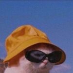 seleb wa whatsapp group link join