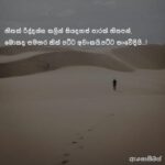 e0b6bae0b78fe0b6bde0b794e0b69ae0b6b8e0b6a7 e0b691e0b784e0b78f e29da4efb88f whatsapp group link join