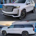 468596931 918004836953771 7342119352837044187 n