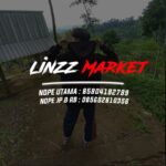 534416284 25751845431093674 4051702363434719804 n