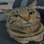 534423168 1159258146041438 4828954897474227160 n