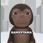 534423524 1498149701301192 8525176357501682011 n