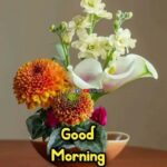 537804609 1589110152225372 8275687444022039954 n