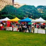 541062123 1316256963187184 6688853143185896429 n