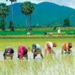 564393466 1337297784714985 3886111032171046627 n