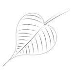 567506808 1207047388269162 7836401178040840764 n