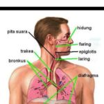 583087587 1666524587664375 1065437942101951655 n