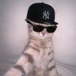 584718699 1535750197623951 6946733535119018866 n