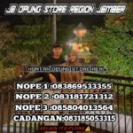 585819648 1571084554138290 6801633153293424863 n