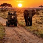 589023490 1574860180596033 6652835537164906903 n