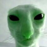 595423928 24641866175489331 218652633730925058 n