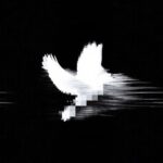 595505583 1179594394369718 3560590455086125485 n