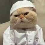 598297512 1235413915122964 1573002557836799917 n