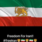 598783085 874104078682435 8831423671111462363 n