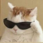 604438809 1566250147984536 4819970904319454471 n