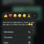 604887366 742623878366205 5687579804370730667 n