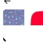 610835780 1934846044115292 6942090151384915778 n