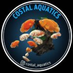 611709027 1360063615414971 2964874171381903752 n