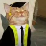 612347842 1347195070514817 8311278690065733268 n