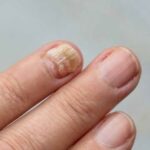 612848182 1447154103792601 4121593787373087025 n