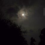 612926367 1764404420897305 9126087456218394270 n