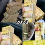 614579657 1442978014016015 1210868123509901157 n