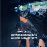 615035059 1617025656388229 3649495223407077006 n