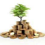 615300826 1685796409066718 5931253195508730740 n