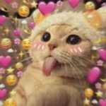 615888635 2695355770975774 1671140197558498647 n