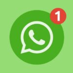 616952046 1538473574053712 5626982894809939084 n