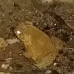 617146989 1424795499269206 1892185625192154737 n