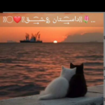 Screenshot 20260407 020010