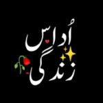💔💔Udass zindgi 🥀💔😔